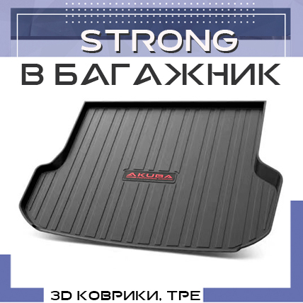 STRONG-BAGAZHNIK02082024 111238.jpg